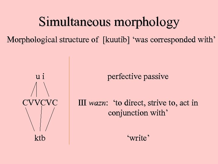 Simultaneous morphology Morphological structure of [kuutib] ‘was corresponded with’ ui perfective passive CVVCVC III
