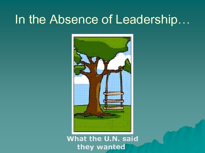 In the Absence of Leadership… What the U. N. said they wanted 