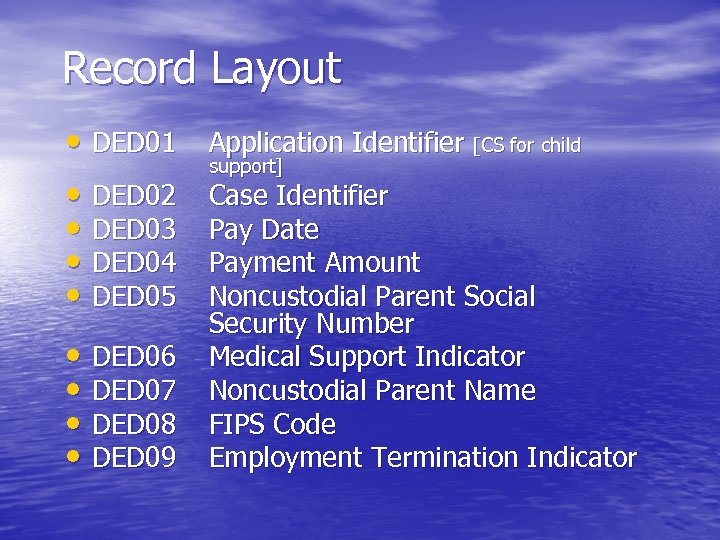 Record Layout • DED 01 Application Identifier [CS for child • DED 02 •