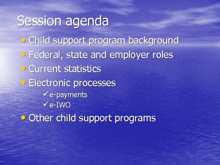 Session agenda • Child support program background • Federal, state and employer roles •