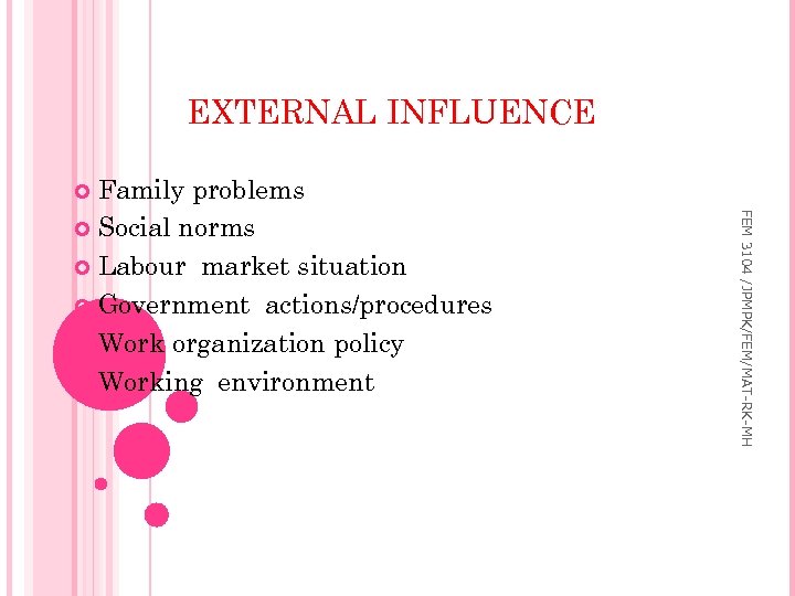 EXTERNAL INFLUENCE Family problems Social norms Labour market situation Government actions/procedures Work organization policy