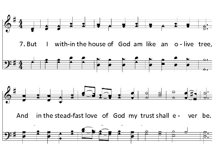 7. But And I with-in the house of God am like an o -