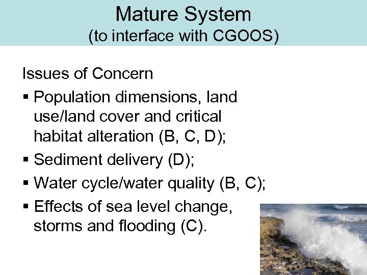 Mature System (to interface with CGOOS) Issues of Concern § Population dimensions, land use/land