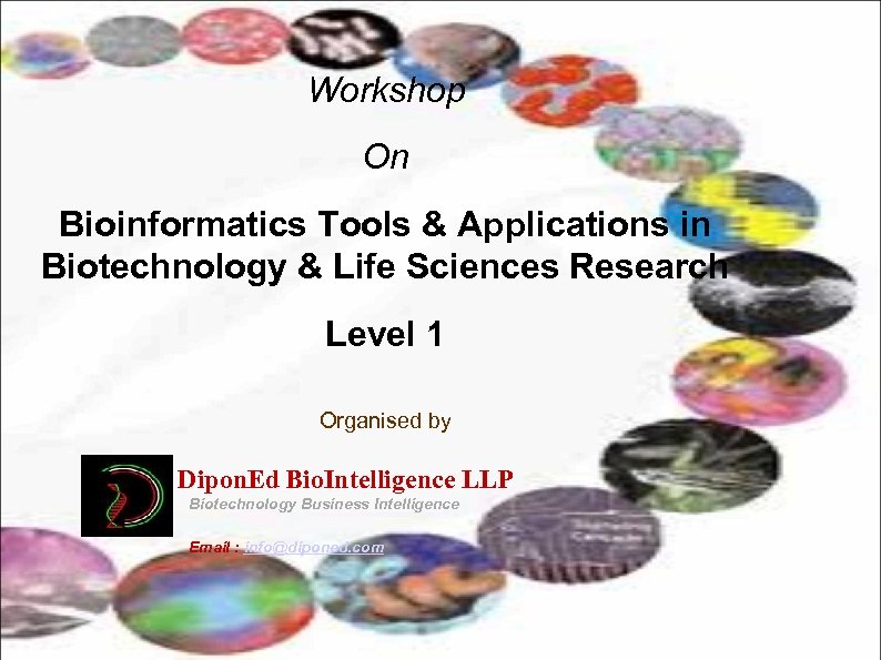 Workshop On Bioinformatics Tools & Applications in Biotechnology & Life Sciences Research Level 1