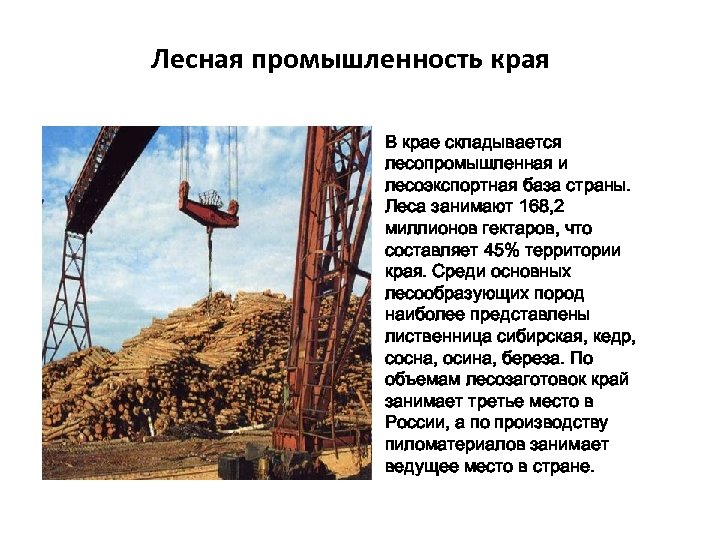 Лесная промышленность края В крае складывается лесопромышленная и лесоэкспортная база страны. Леса занимают 168,