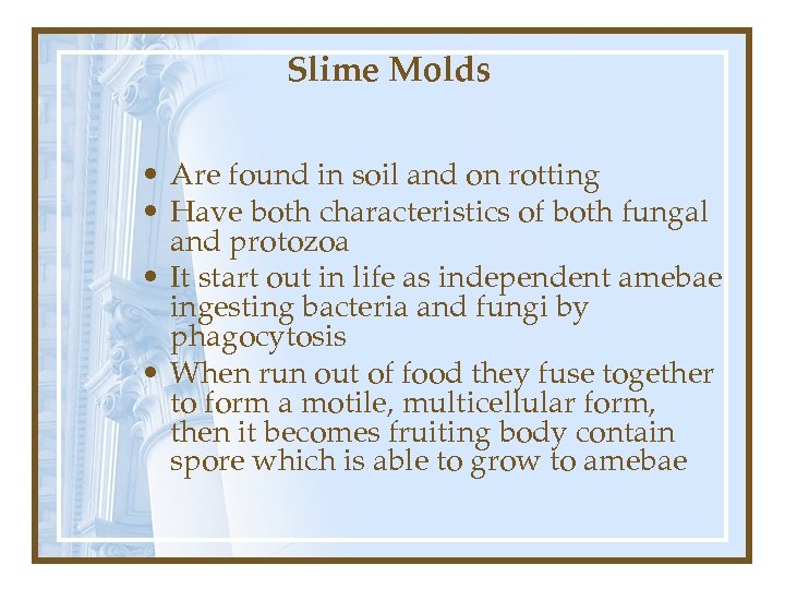 Slime Molds • Are found in soil and on rotting • Have both characteristics
