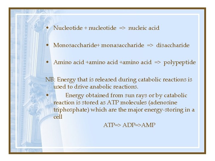  • Nucleotide + nucleotide => nucleic acid • Monosaccharide+ monasaccharide => disaccharide •