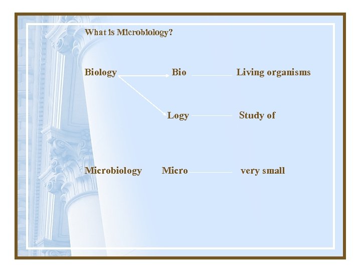 What is Microbiology? Biology Bio Logy Microbiology Micro Living organisms Study of very small