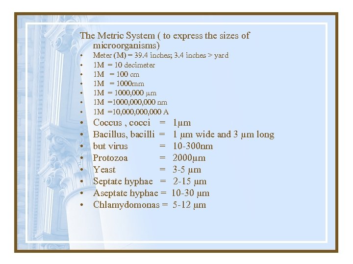 The Metric System ( to express the sizes of microorganisms) • • Meter (M)