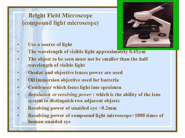 Bright Field Microscope (compound light microscope) • • • Use a source of light