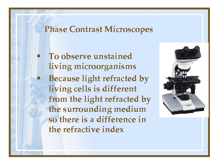 Phase Contrast Microscopes • To observe unstained living microorganisms • Because light refracted by