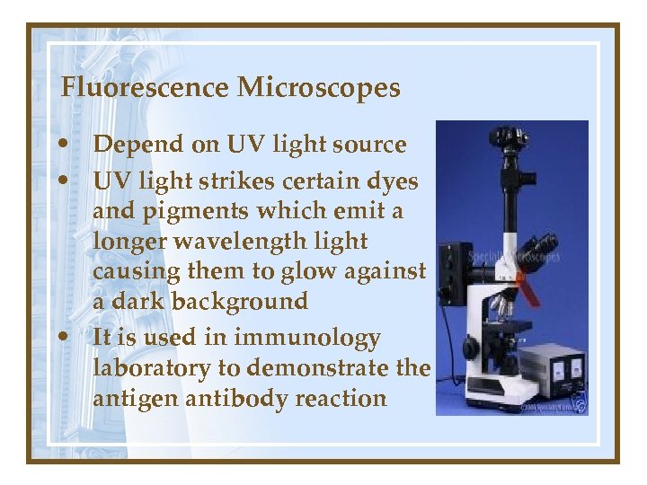 Fluorescence Microscopes • Depend on UV light source • UV light strikes certain dyes