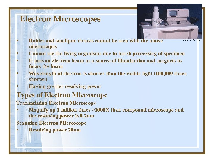 Electron Microscopes • • • Rabies and smallpox viruses cannot be seen with the