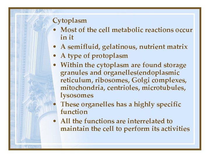 Cytoplasm • Most of the cell metabolic reactions occur in it • A semifluid,