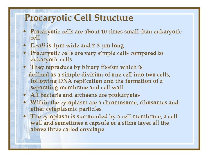 Procaryotic Cell Structure • Procaryotic cells are about 10 times small than eukaryotic cell