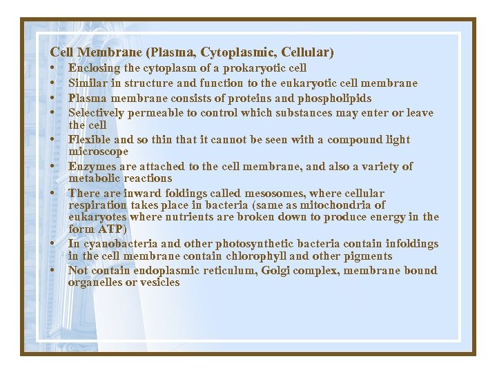 Cell Membrane (Plasma, Cytoplasmic, Cellular) • • • Enclosing the cytoplasm of a prokaryotic