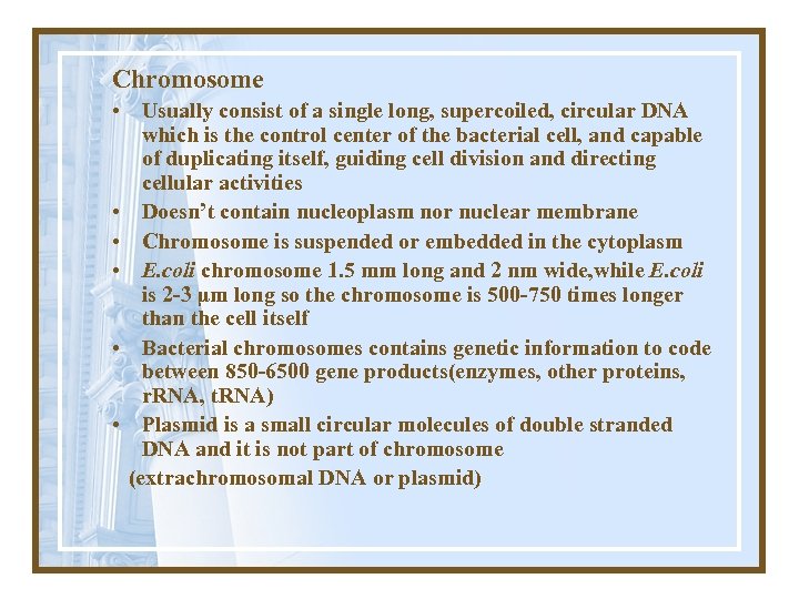 Chromosome • Usually consist of a single long, supercoiled, circular DNA which is the