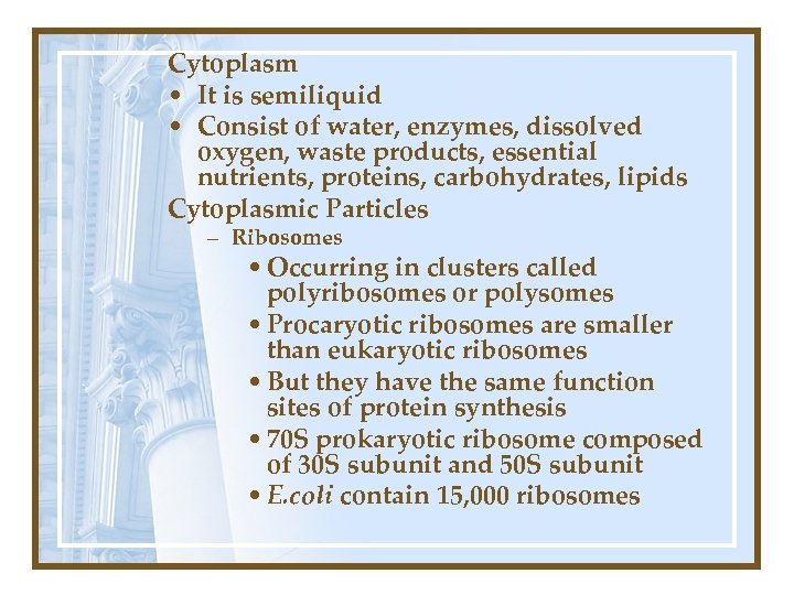 CHAPTER 1 MICROBIOLOGY FOR THE HEALTH SCIENCES