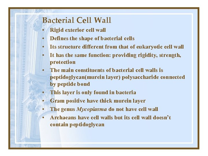 Bacterial Cell Wall • • • Rigid exterior cell wall Defines the shape of