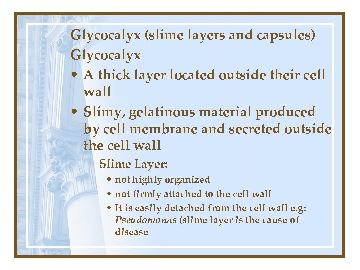 Glycocalyx (slime layers and capsules) Glycocalyx • A thick layer located outside their cell