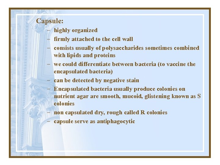 Capsule: – highly organized – firmly attached to the cell wall – consists usually