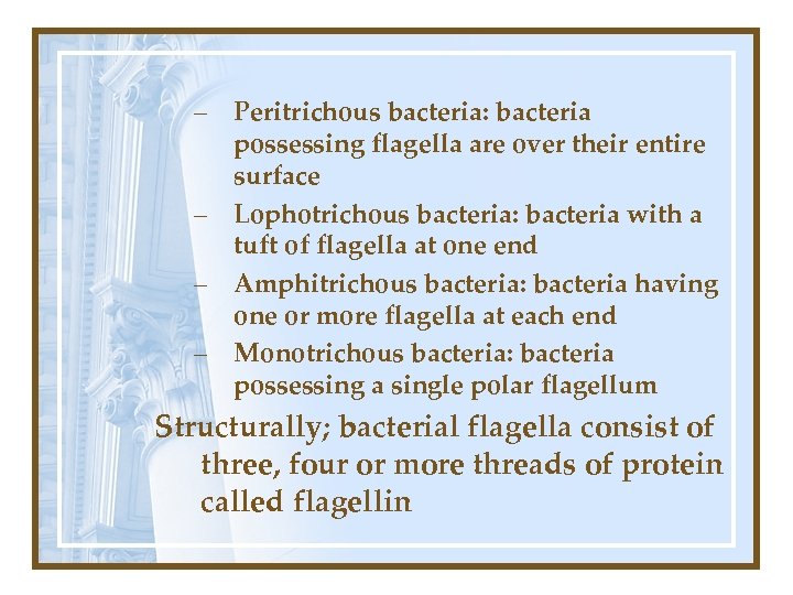 – Peritrichous bacteria: bacteria possessing flagella are over their entire surface – Lophotrichous bacteria: