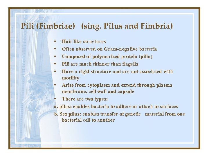 Pili (Fimbriae) (sing. Pilus and Fimbria) • • • Hair like structures Often observed