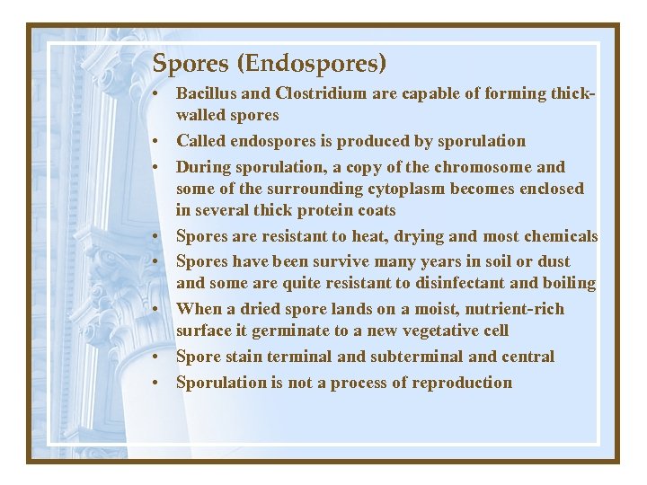 Spores (Endospores) • Bacillus and Clostridium are capable of forming thickwalled spores • Called