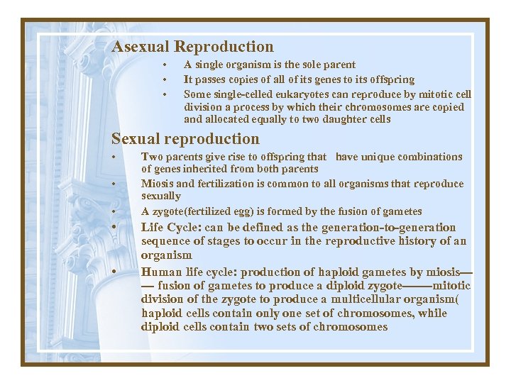 Asexual Reproduction • • • A single organism is the sole parent It passes