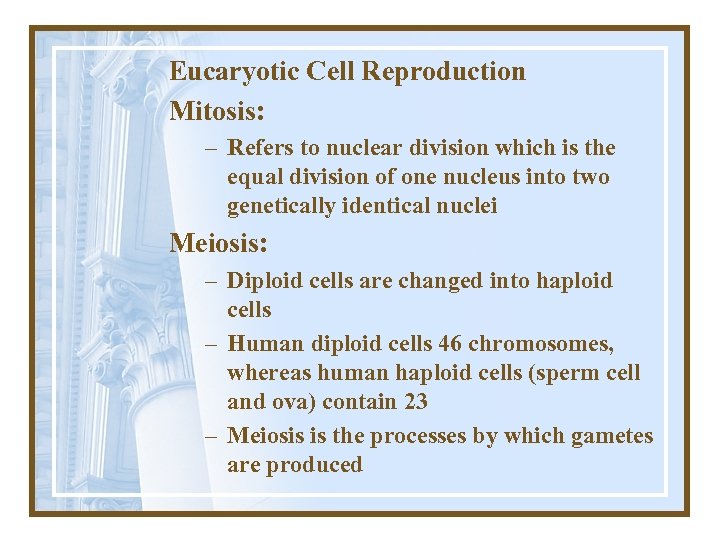 Eucaryotic Cell Reproduction Mitosis: – Refers to nuclear division which is the equal division