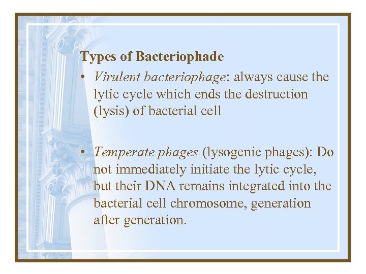 Types of Bacteriophade • Virulent bacteriophage: always cause the lytic cycle which ends the
