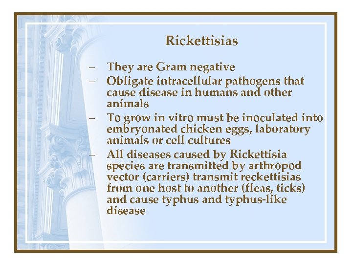 Rickettisias – They are Gram negative – Obligate intracellular pathogens that cause disease in