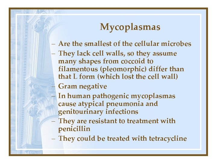 Mycoplasmas – Are the smallest of the cellular microbes – They lack cell walls,