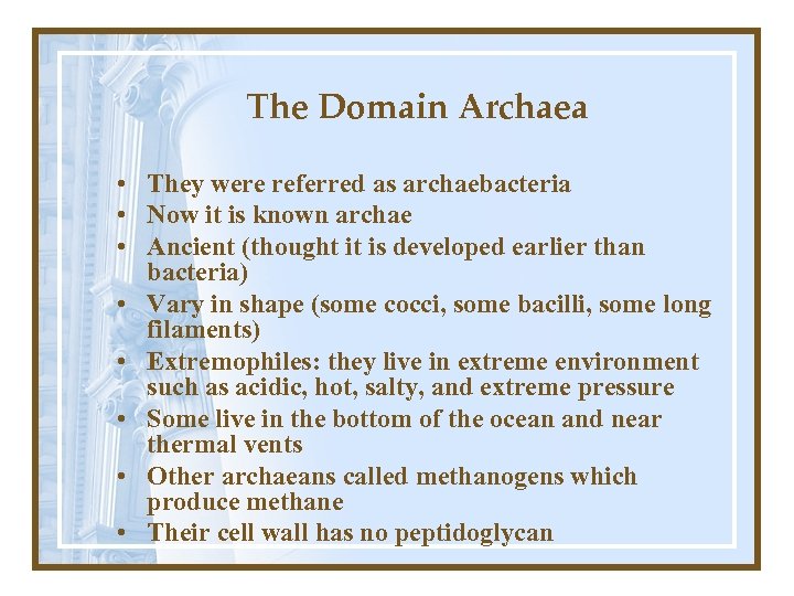 The Domain Archaea • They were referred as archaebacteria • Now it is known