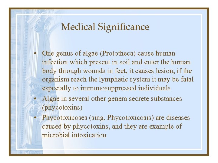 Medical Significance • One genus of algae (Prototheca) cause human infection which present in