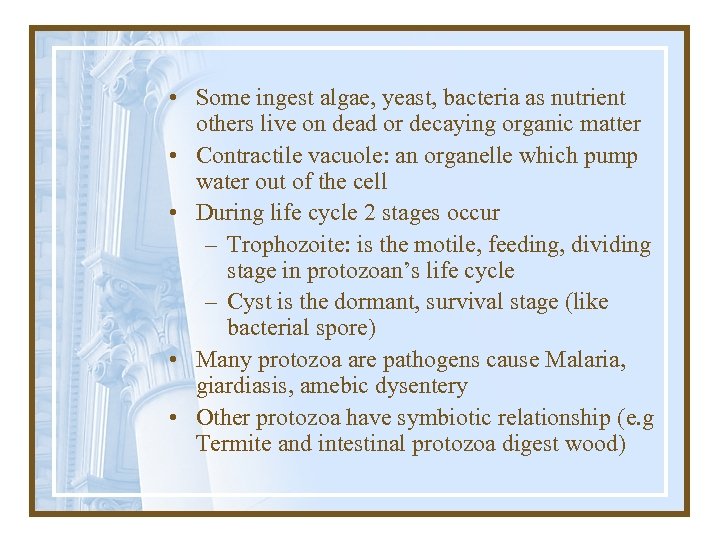  • Some ingest algae, yeast, bacteria as nutrient others live on dead or