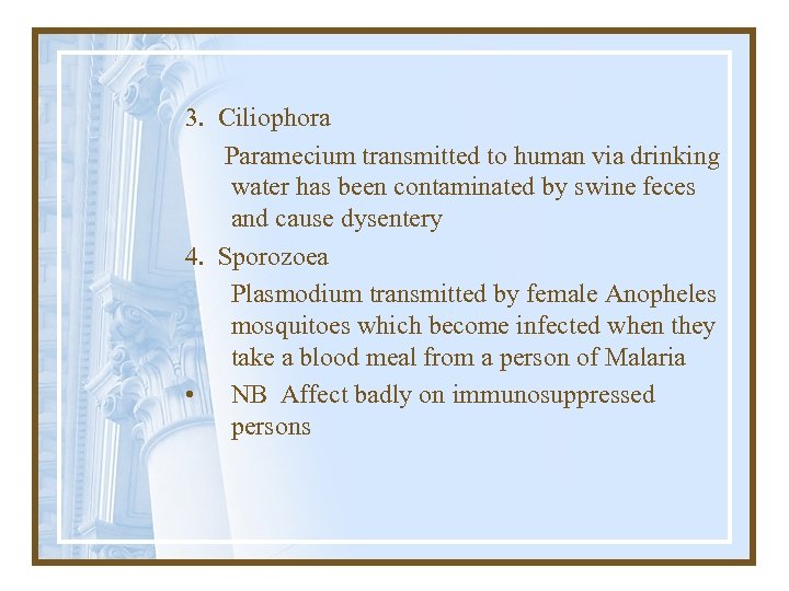 3. Ciliophora Paramecium transmitted to human via drinking water has been contaminated by swine