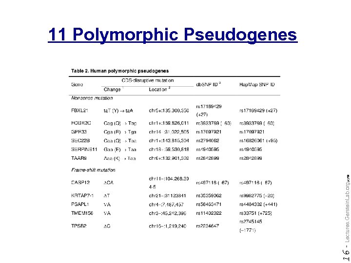 Do not reproduce without permission 16 - Lectures. Gerstein. Lab. org (c) '09 11