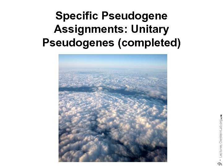 Do not reproduce without permission 9 - Lectures. Gerstein. Lab. org (c) '09 Specific