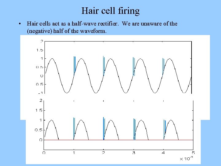 Hair cell firing • Hair cells act as a half-wave rectifier. We are unaware