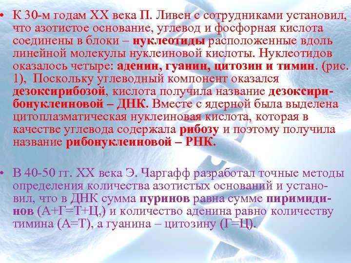  • К 30 м годам ХX века П. Ливен с сотрудниками установил, что
