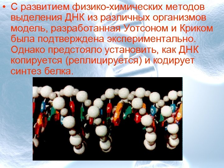  • С развитием физико-химических методов выделения ДНК из различных организмов модель, разработанная Уотсоном