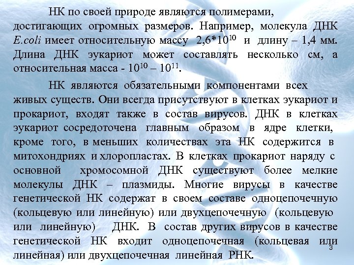 НК по своей природе являются полимерами, достигающих огромных размеров. Например, молекула ДНК E. coli