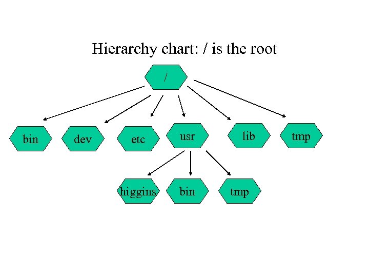 Hierarchy chart: / is the root / bin dev etc usr higgins bin lib