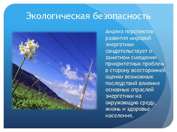 Экологическая безопасность Анализ перспектив развития мировой энергетики свидетельствует о заметном смещении приоритетных проблем в
