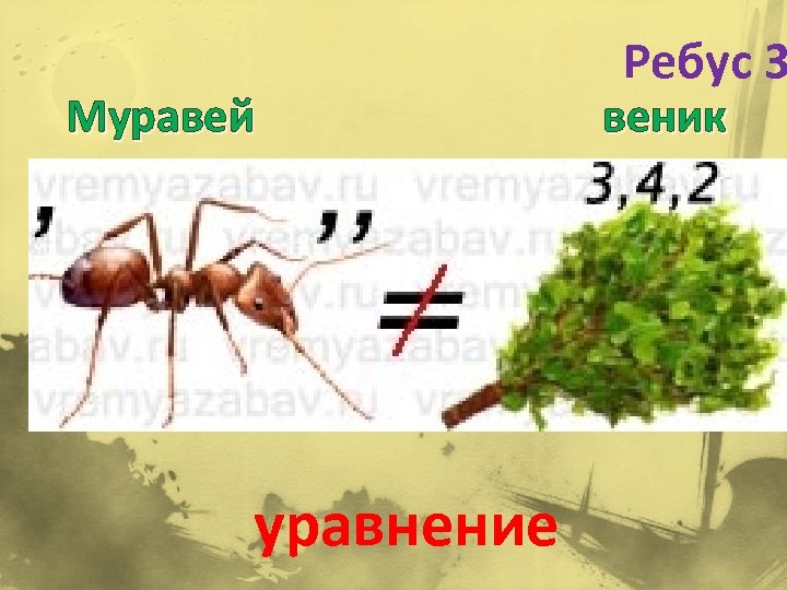 Муравей уравнение Ребус 3 веник 