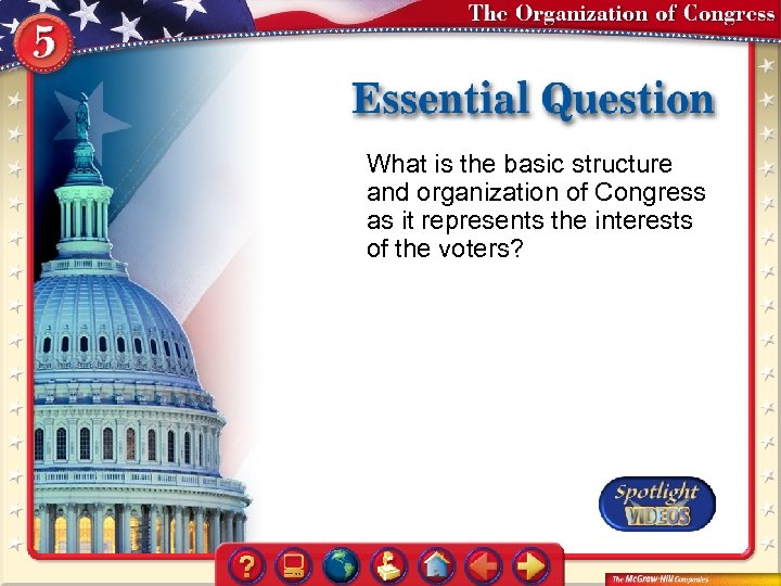 What is the basic structure and organization of Congress as it represents the interests