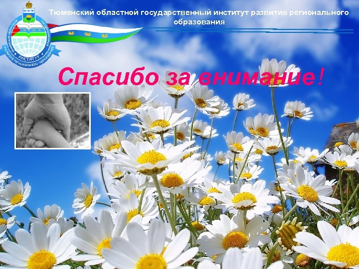 Тюменский областной государственный институт развития регионального образования С-38 Спасибо за внимание ! 