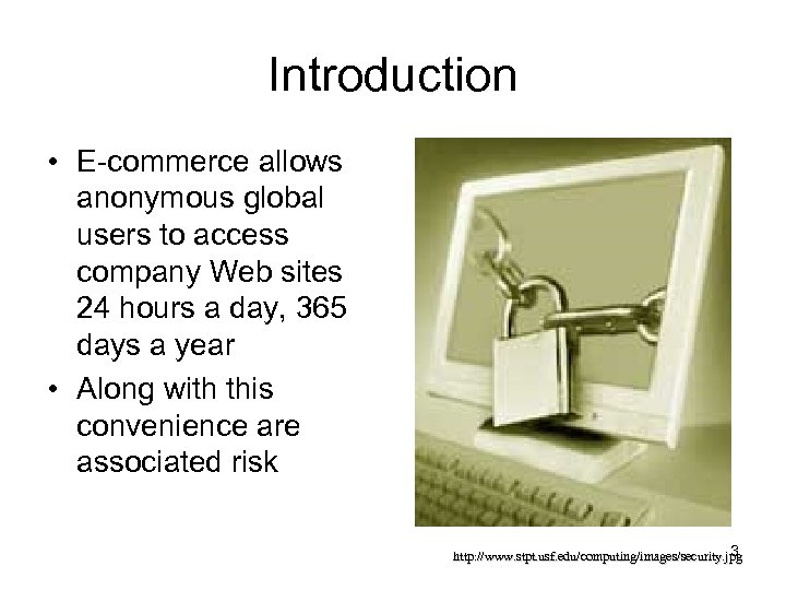 Introduction • E-commerce allows anonymous global users to access company Web sites 24 hours