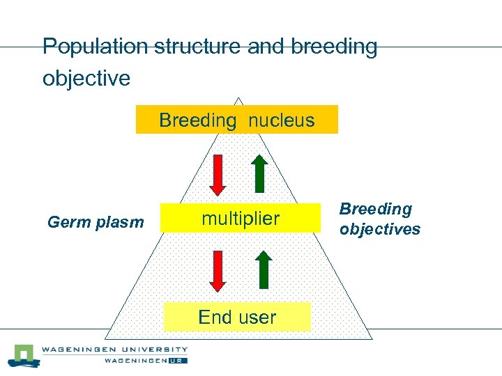Population structure and breeding objective Breeding nucleus Germ plasm multiplier End user Breeding objectives